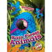 Rain Forest Animals