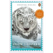 Snow Leopard Adventure