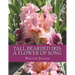 Tall Bearded Iris: A Flower of Song