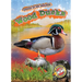 Wood Ducks