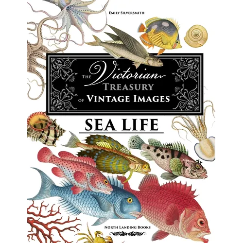 The Victorian Treasury of Vintage Images - Sea Life