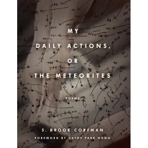 My Daily Actions, or the Meteorites