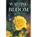 Waiting to Bloom