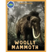 Woolly Mammoth Activity Workbook ages 4-8