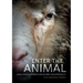 Enter the Animal: Cross-species perspectives on grief and spirituality