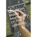 Simulation Model Mechanism Of The Universe