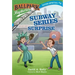 Ballpark Mysteries Super Special #3: Subway Series Surprise