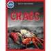 Crab Activity Workbook for Kids ages 4-8