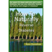 How To Naturally Reverse Diabetes