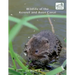 Wildlife of the Kennet and Avon Canal