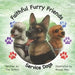 Faithful Furry Friends: Service Dogs