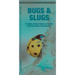 Bugs & Slugs: A Folding Pocket Guide to Familiar North American Invertebrates
