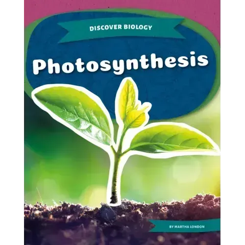 Photosynthesis