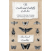 The Beetle and Butterfly Collection - A Guide to Collecting, Arranging and Preserving Insects at Home