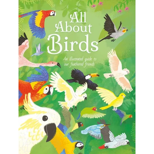 All about Birds: An Illustrated Guide to Our Feathered Friends