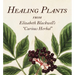 Healing Plants: From Elizabeth Blackwell's a Curious Herbal
