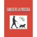 Cáncer De La Próstata