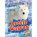 Arctic Wolves