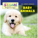 Baby Animals
