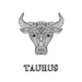 Taurus: Coloring Book with Three Different Styles of All Twelve Signs of the Zodiac. 36 Individual Coloring Pages. 8.5 x 11