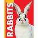 Curious about Rabbits