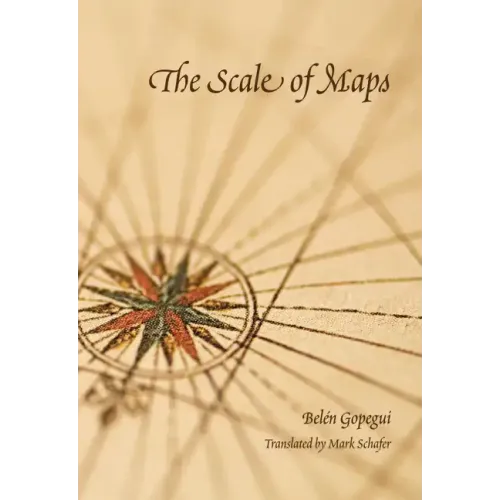 The Scale of Maps