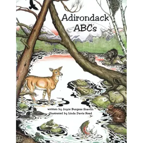 Adirondack ABCs