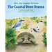 The Coastal Dune Drama: Bob, the Gopher Tortoise