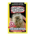 Everything You Should Know About: Hedgehogs
