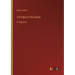 The Figure in the Carpet: in large print