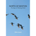 North of Boston- Whales and Tales