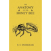 The Anatomy of the Honey Bee