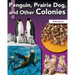 Penguin, Prairie Dog, and Other Colonies
