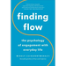 Finding Flow: The Psychology of Engagement with Everyday Life