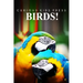 Birds! - Curious Kids Pess: (Picture book, Children's book about animals, Animal books for kids 5-7)