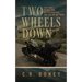 Two Wheels Down: A Tale of One Man, His Motorcycle, and Life on the Road