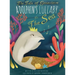 The Tale of Genevieve: A Dolphin's Lullaby to the Sea