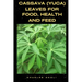 Cassava (Yuca) Leaves for Food, Health and Feed
