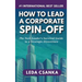 How to Lead a Corporate Spin-Off: The Tech Leader's Survival Guide to a Strategic Divestiture