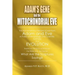 Adam's Gene and the Mitochondrial Eve