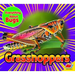 Grasshoppers