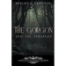 The Gorgon and the Stranger