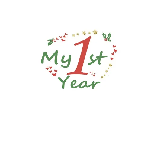 My 1st Year: First Year Memory Book, 29 pages, with monthly birthday and holidays pages, size: 6*9 inches, matte colorful cover with special design