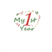 My 1st Year: First Year Memory Book, 29 pages, with monthly birthday and holidays pages, size: 6*9 inches, matte colorful cover with special design