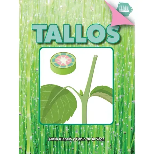 Tallos: Stem