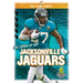 The Story of the Jacksonville Jaguars