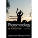 Phenomenology: An Introduction