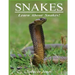Snakes: Fun Facts & Amazing Pictures - Learn About Snakes
