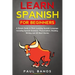 Learn Spanish for Beginners: : A Simple Guide to Start Learning Spanish Language: Including Grammar, Pronunciation, Reading, Writing and 20 Short S