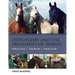 Osteopathy Treatment Horses